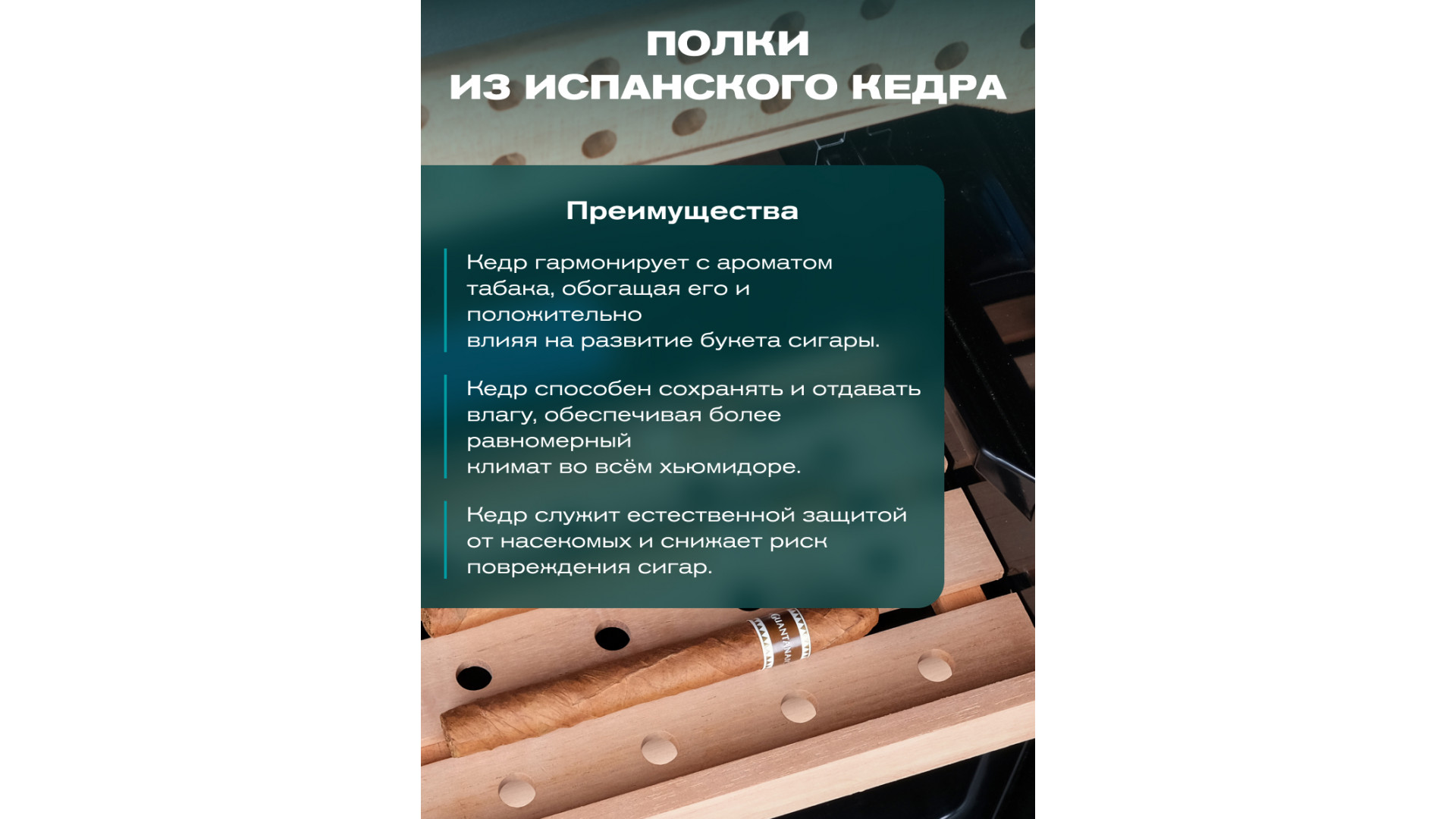  Meyvel MC-200BK (PRO)