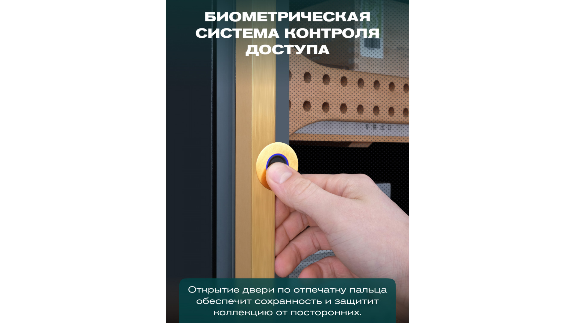 Хьюмидор шкаф Meyvel MC-120BK (PRO)