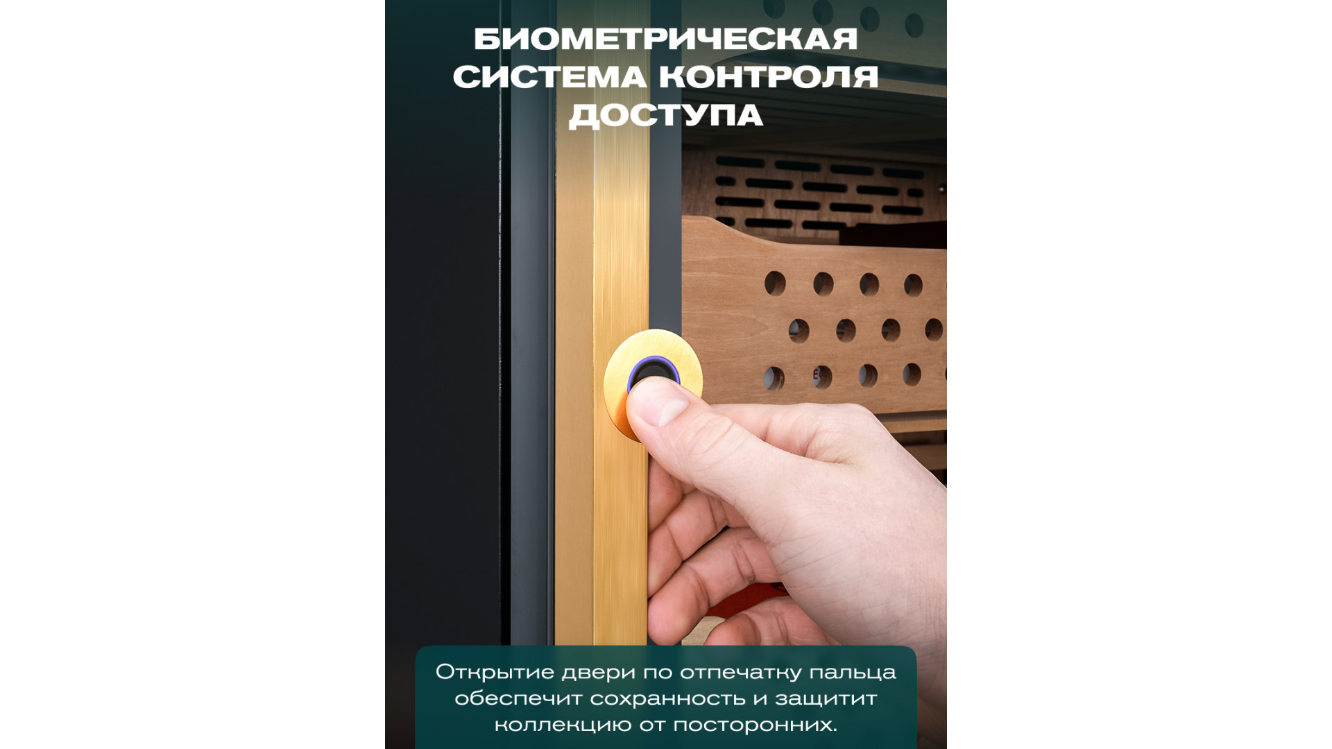 Хьюмидор шкаф Meyvel MC-272BK (PRO)