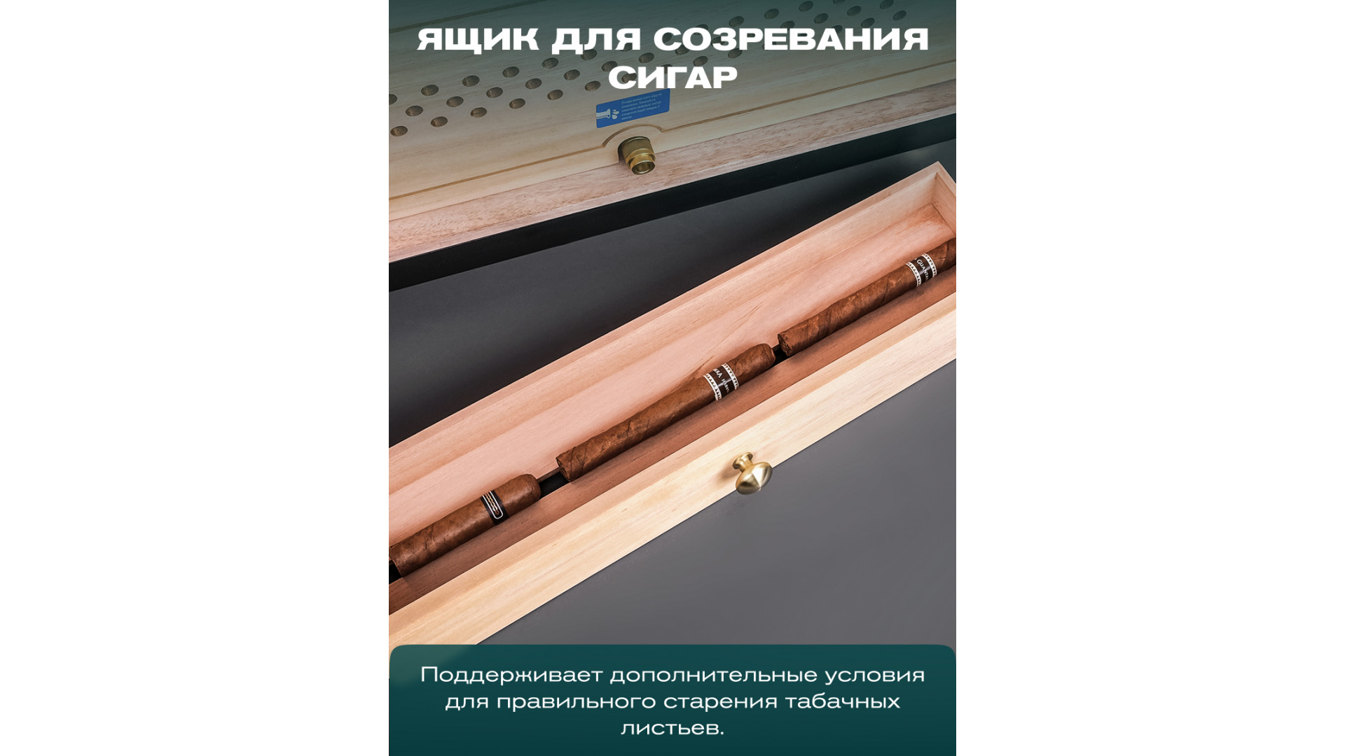 Хьюмидор шкаф Meyvel MC-272BK (PRO)