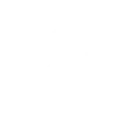 Двойной инвертор